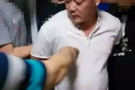 泾川贷款清欠服务